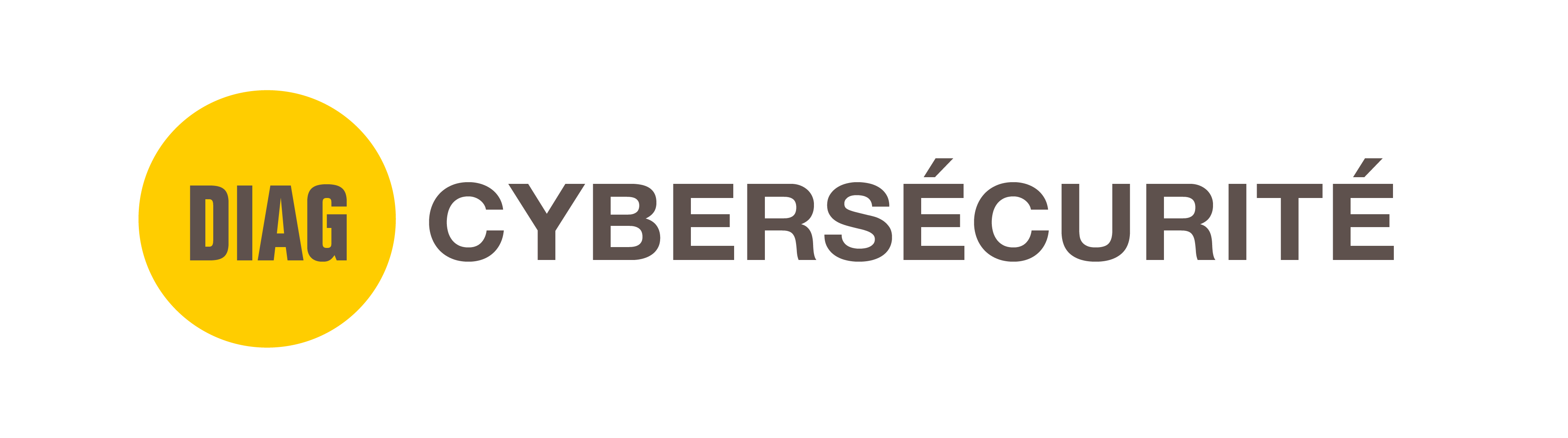 DIAG_CYBERSECURITE_RVB (2)
